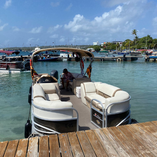 Pontón Paw Patrol 1